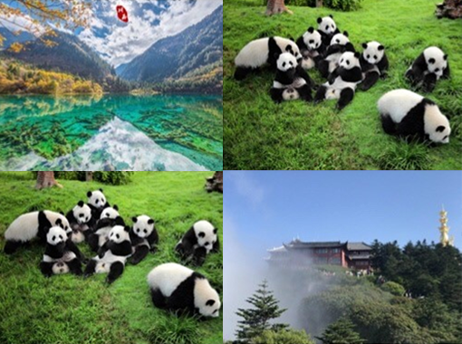 與SKE約成都!展會(huì)預(yù)告| MICONEX 2024！